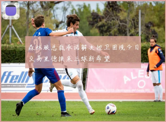 森林狼总裁承诺解决控卫困境今日交易里德换来三球新希望